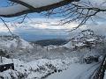Neve (87)